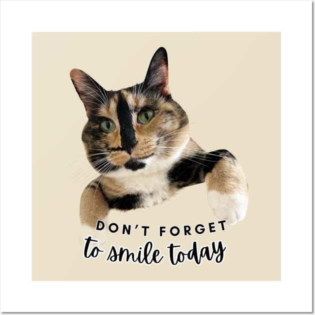 Snickers the smiling cat Wall Art by SnickersTheSmilingCat
